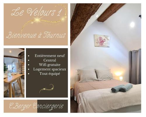 Tournus Apartment | Le Velours 1-Spacieux, Central, Entièrement neuf
