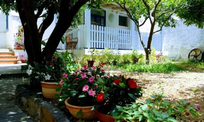 Palinuro Cottage | lemon blue, center of Palinuro