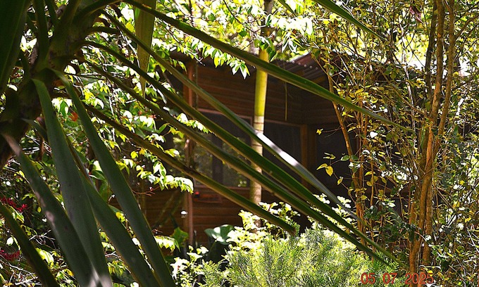 San Ignacio Cabin | Licensed 2 bedroom cabin Close to San Ignacio, local dining, and adventure tours