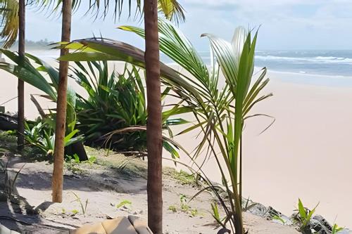 Marau House | Licuri Praia de Algodões