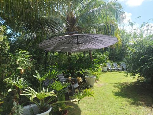 Siquijor House | LightHaus DP Garden Resort