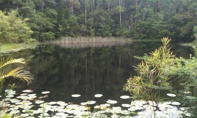 Stewarts River House | Lilypad Lodge in Stewarts River