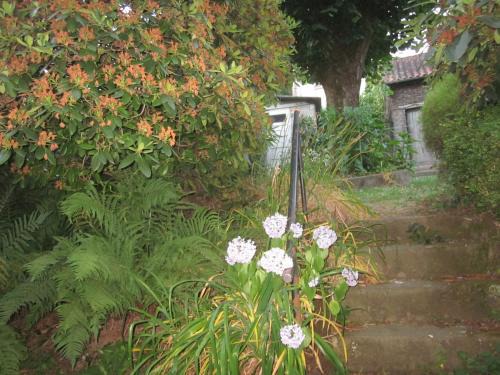 Limoges Apartment | LIMOGES,joli appart !