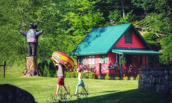 Sugar Grove Cabin | Little-River-Petting Zoo-Stream-Pickleball?, Private Petting Zoo Cabin and Hot Tub