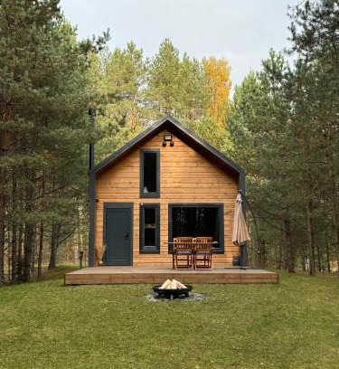 Vilnius County House | Local Forest