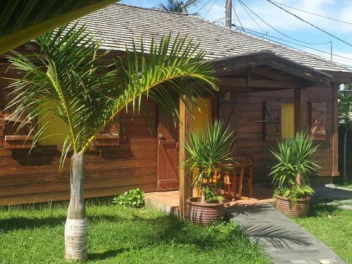 Saint-Pierre Ski Chalet | Lodge Garden