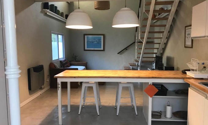 Tigre Apartment | Loft en tigre centro PA