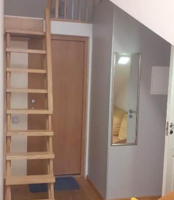 Liberty Avenue Apartment | Loft style apartments in Kaunas center