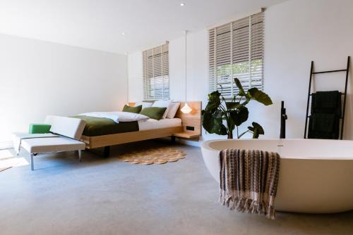 Nes Hotel | LoftNes