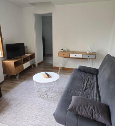 Ouzouer-sur-Loire Apartment | Logement moderne équipé
