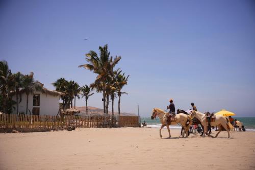 Mancora Hotel | Los Almendros de Máncora