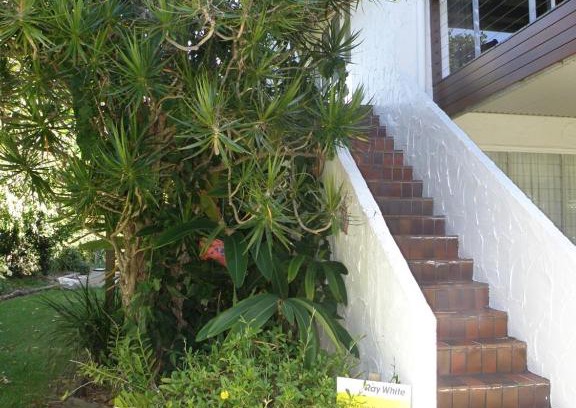 Point Lookout Apartment | Los Nidos Unit 2