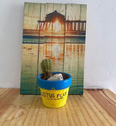 Canoa Quebrada Cabin | Lotus Flat - Canoa Quebrada