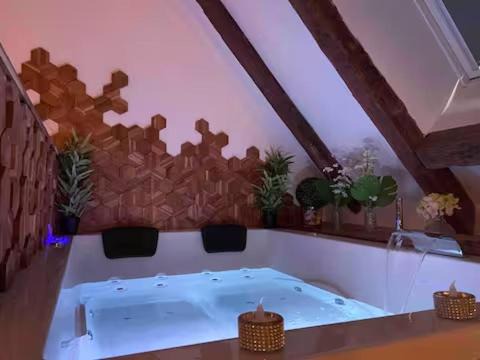 Bourges Apartment | Love Room en centre ville avec Jacuzzi