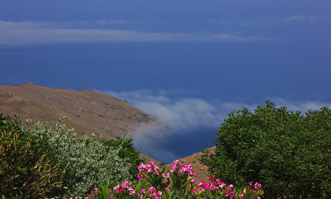 Kea House | Lovebirds Nest - A Petite Lodge Enjoying Garden And Sea Views