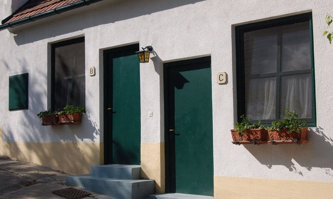 Morbisch am See Apartment | Lovely apartment for 3 guests with WIFI, TV and terrace