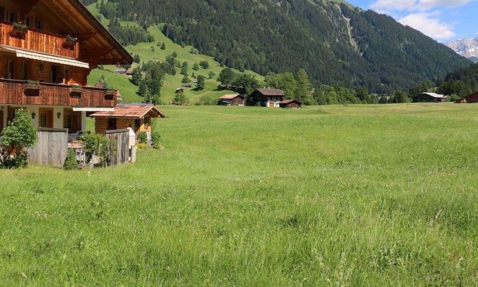 Saanenmöser Apartment | Lovely apartment for 3 people with WIFI, TV, balcony, pets allowed and parking