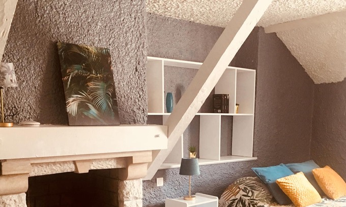 Centre Ville Apartment | Lovely Apartment in the Historic Center of Pau