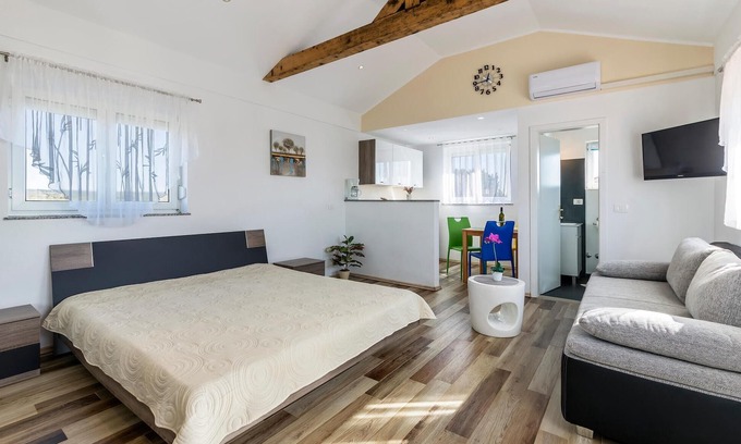 Valbandon Apartment | Lovely apartment in Valbandon with WiFi