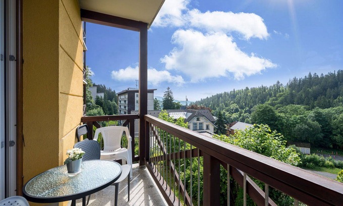 Janske Lazne Apartment | Lovely apartment for 4 guests with WIFI, TV, balcony and pets allowed