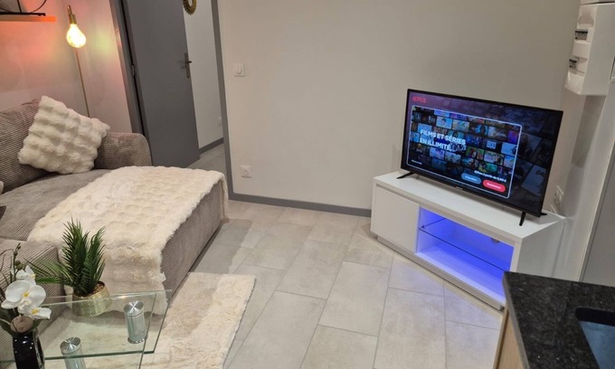 Limoges Apartment | Luxurious apartment 2 steps from the center