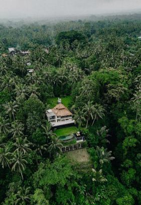 Payangan Villa | Luxury 2BR Ubud Villa with Infinity Pool and Jungle Views