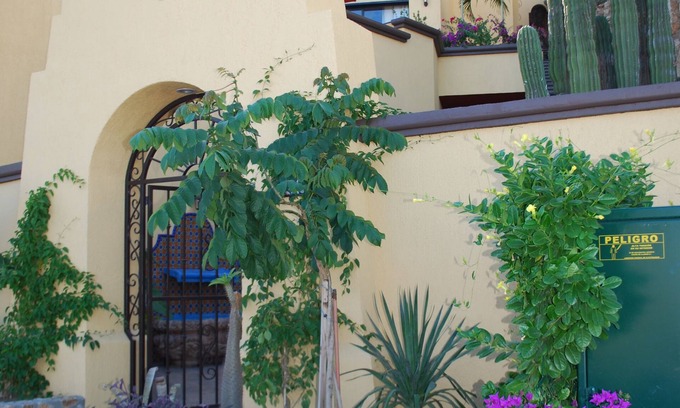 Pedregal House | Luxury Home with Infinity Pool! Walk to Town, Harbor and Beach!
