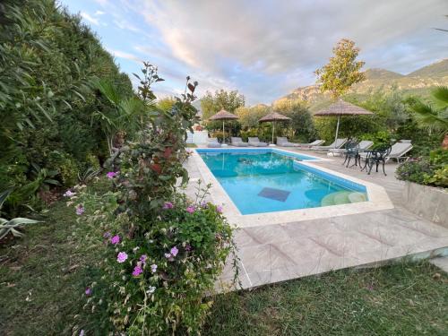 Tirana Villa | Luxury Villa - Dar Al Shams 01
