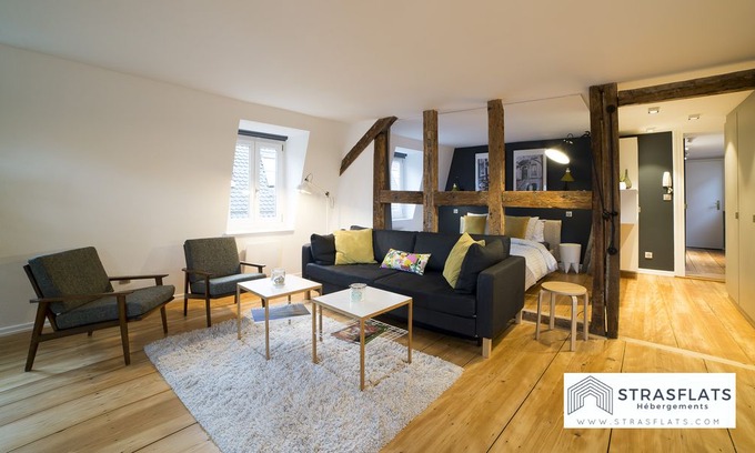 Petite-France Apartment | Magnificent architect designed apartment Hypercentre