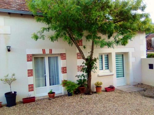 Selles-sur-Cher House | Maison accueillante avec jardin à Selles-sur-Cher