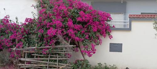 Ain Mediouna House | Maison des vacancies,repos et relaxation