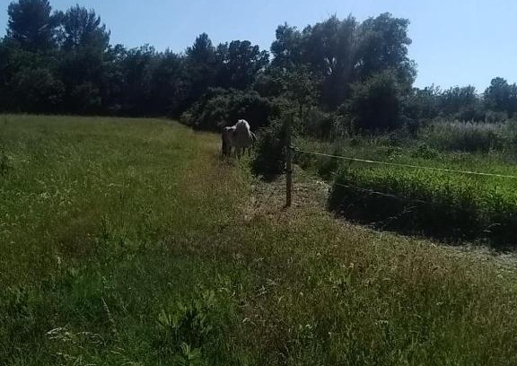Aups House | Maison individuelle 5 couchages dans Ferme Equestre