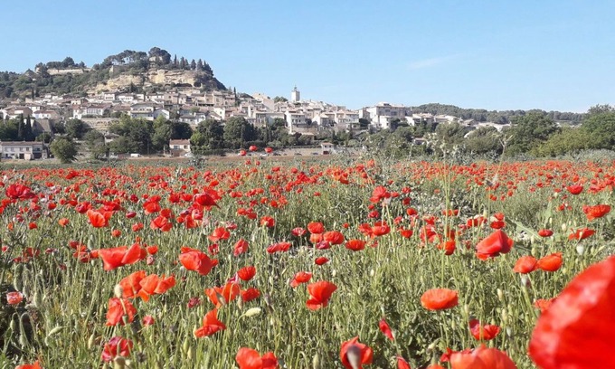Cadenet House | Maison Lumineuse Avec Jardin - Sud Luberon