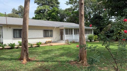 Moshi House | Malaika Oasis