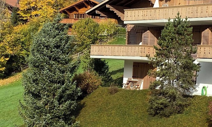 Saanen Apartment | Malgré-tout by Interhome
