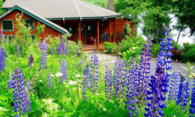 Long Lake Cabin | "Mange Takk Is Simply Heaven!"