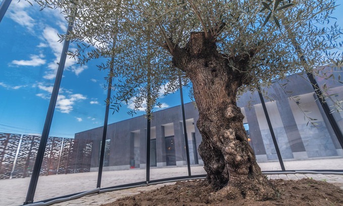 Gyumri Hotel | Manifest Restaurant and Hotel