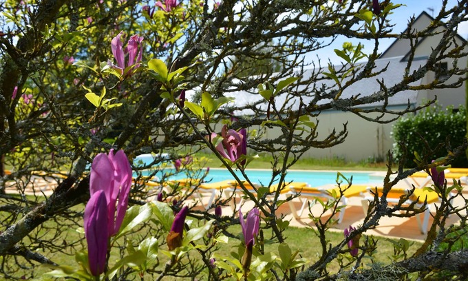 Amboise Bed & Breakfast | Manoir Du Parc - Adults Only