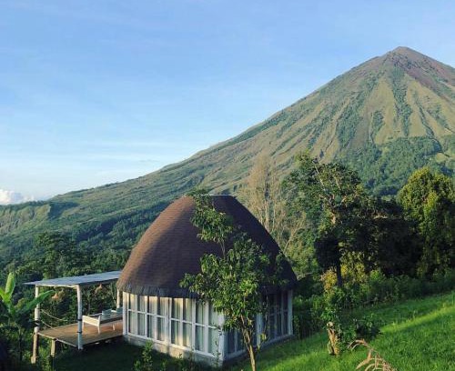 Tiworiwu Hotel | Manulalu Jungle