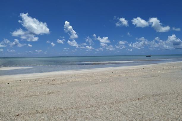Barra Grande House | Maragogi Praia de Antunes Chalé 1