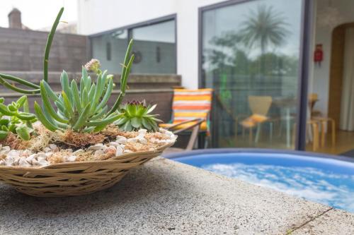 Ponta Delgada Apartment | Marketplace Apartment 1