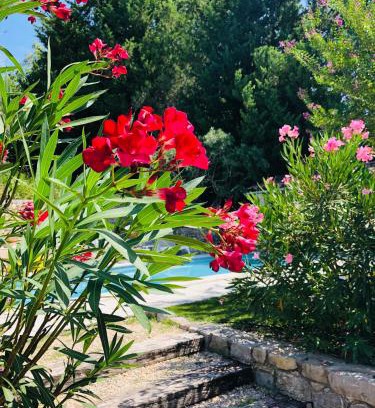 Fayence Bed & Breakfast | Mas Lou Piastoun