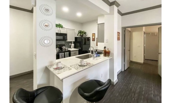 Astrodome Apartment | Medical Center Luxury Furnished & Equipped 2br 2ba