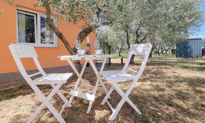 Novigrad Apartment | Mediterranean studio apartment with sunbathing lawn, barbecue area and dog-friendly