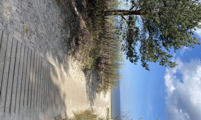 Jurmala Apartment | Melluzi Apartment 15 min from beach