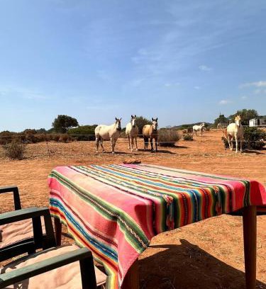 Lagos House | Michas caravan for 2 See the herd of horses from your bed