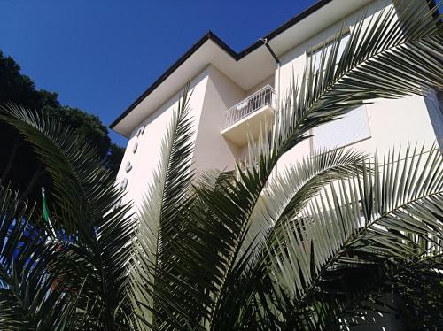 Marina di Pietrasanta Hotel | MILANO