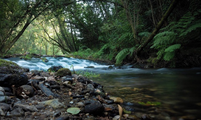 Ponte de Lima Cottage | Mill in the middle of nature 5 minutes from the center of Ponte de Lima