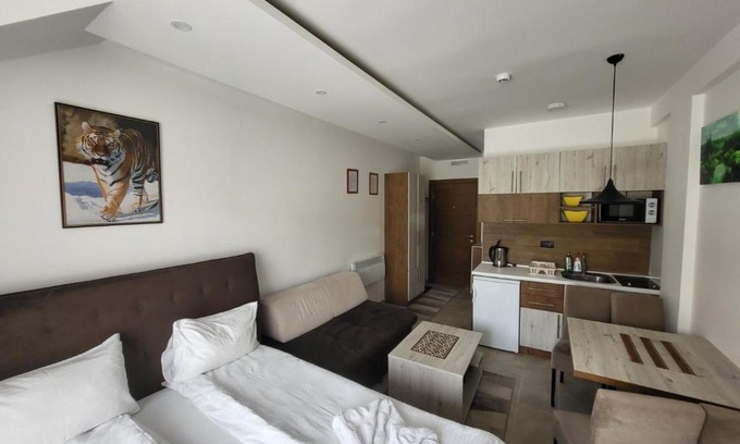 Serbia Apartment | Milmari Vesela Apartment P71
