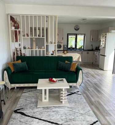 Baia de Fier Villa | Mimi house